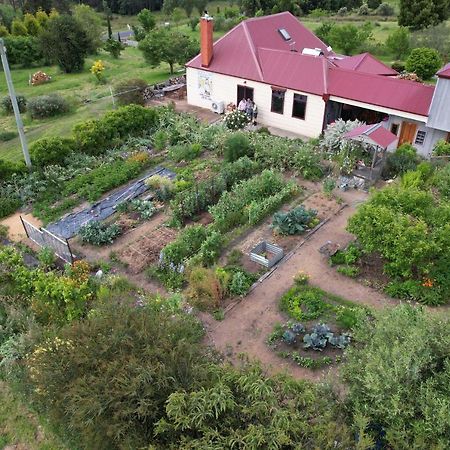Cherry Top Farmstay - Boutique Eco Village Lilydale Bagian luar foto