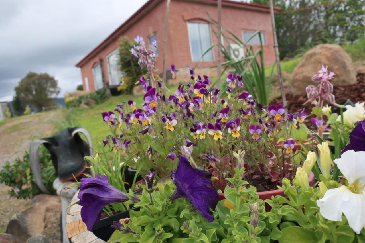 Cherry Top Farmstay - Boutique Eco Village Lilydale Bagian luar foto