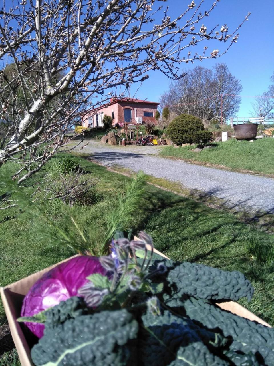 Cherry Top Farmstay - Boutique Eco Village Lilydale Bagian luar foto