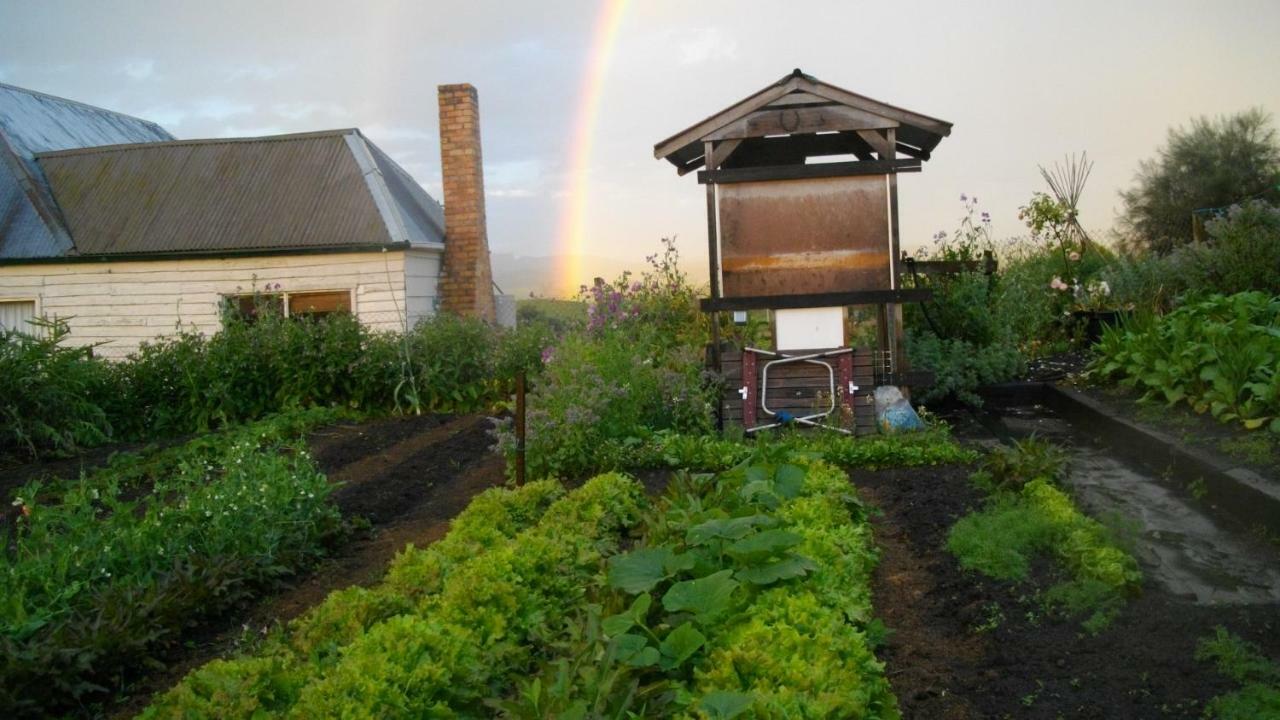 Cherry Top Farmstay - Boutique Eco Village Lilydale Bagian luar foto