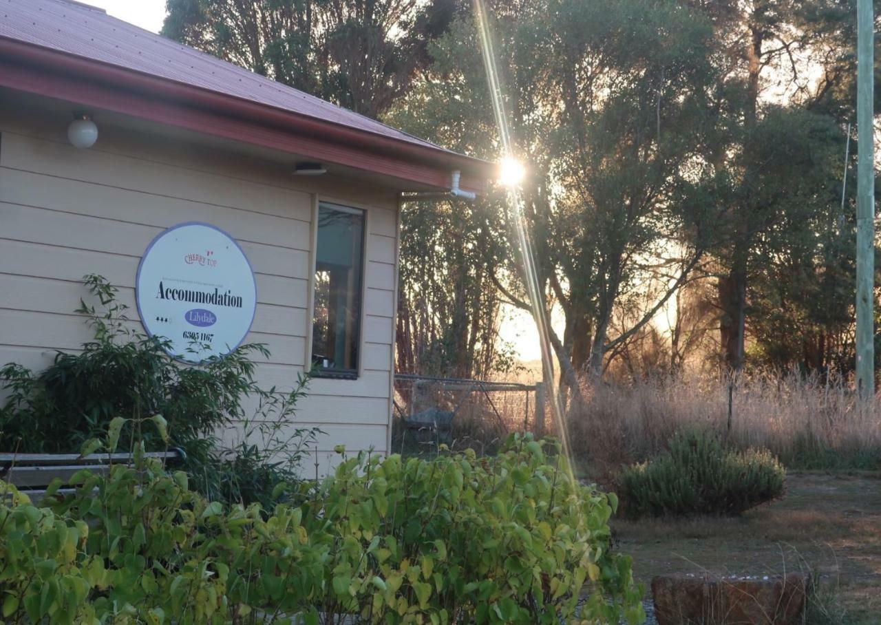 Cherry Top Farmstay - Boutique Eco Village Lilydale Bagian luar foto