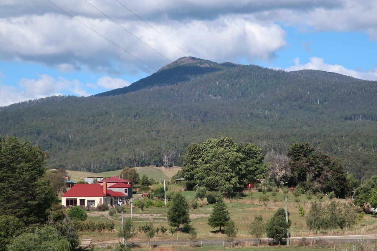 Cherry Top Farmstay - Boutique Eco Village Lilydale Bagian luar foto
